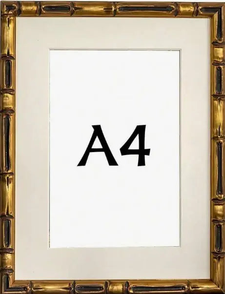 Rococo gold frame A4